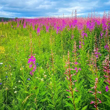 Hotel Lille Chili Eat And Sleep As